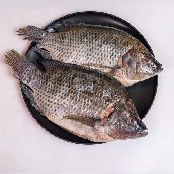 MOJARRA (TILAPIA)