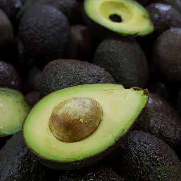 Aguacate